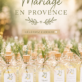 Couple se mariant en plein air dans un vignoble en Provence