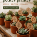 Piques décoratives colorées plantées dans de petites plantes d'intérieur